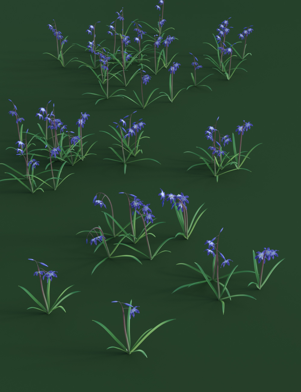 Spring Flowers - Scilla Siberica - Squills by: MartinJFrost, 3D Models by Daz 3D