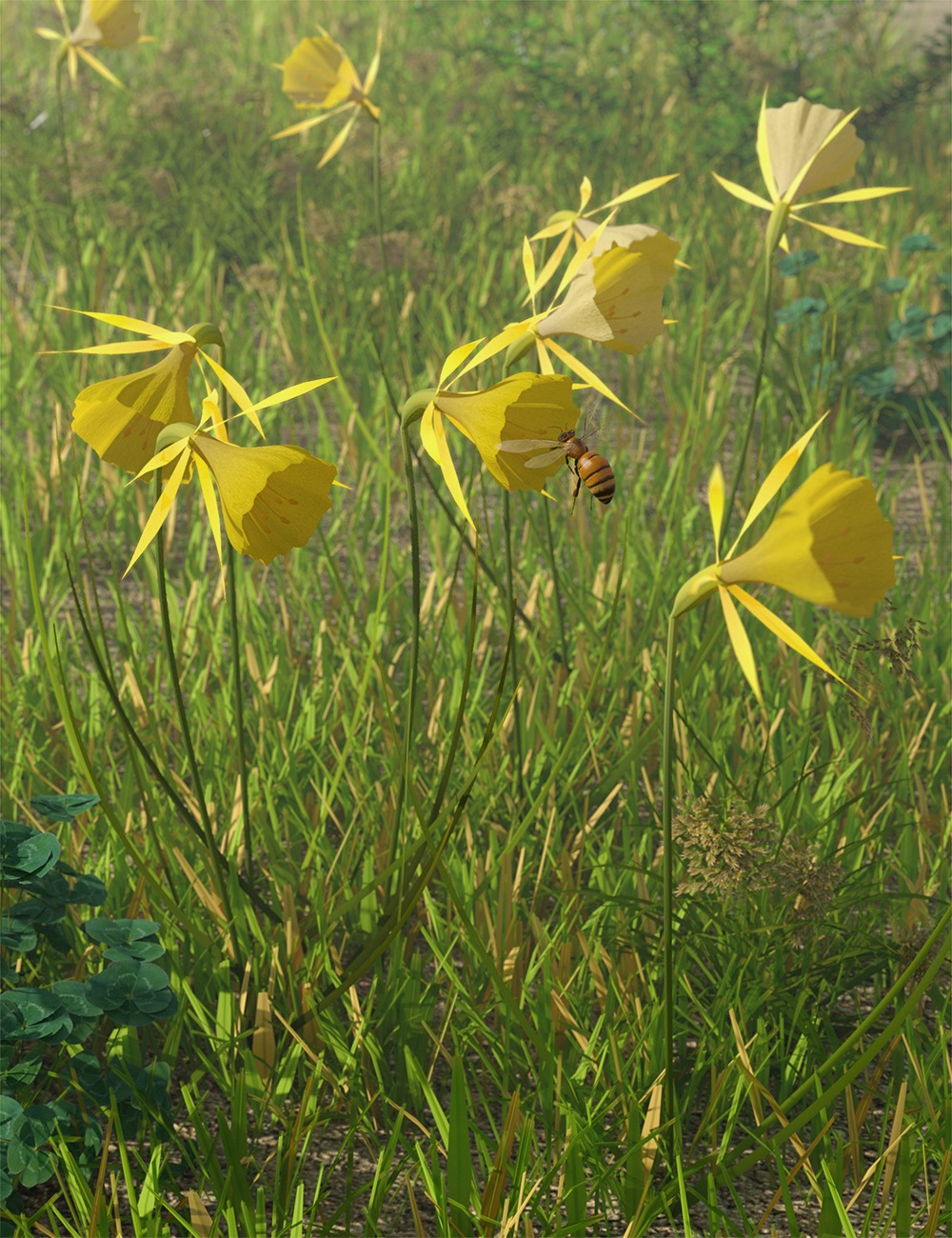 Tiny Plants - Hoop Petticoat Daffodils