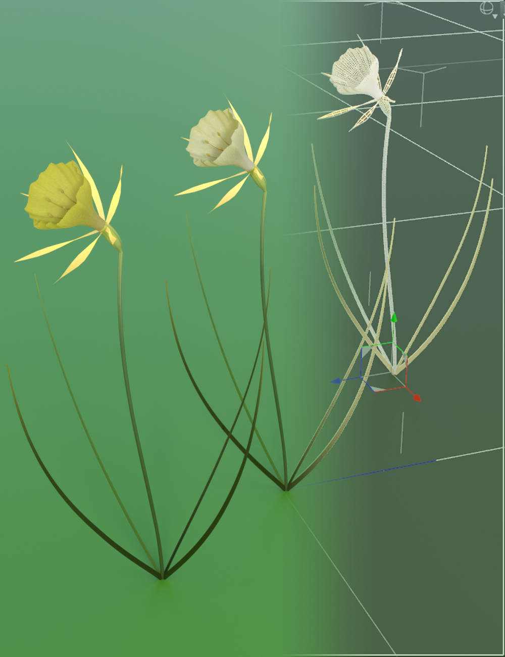 Tiny Plants - Hoop Petticoat Daffodils by: MartinJFrost, 3D Models by Daz 3D