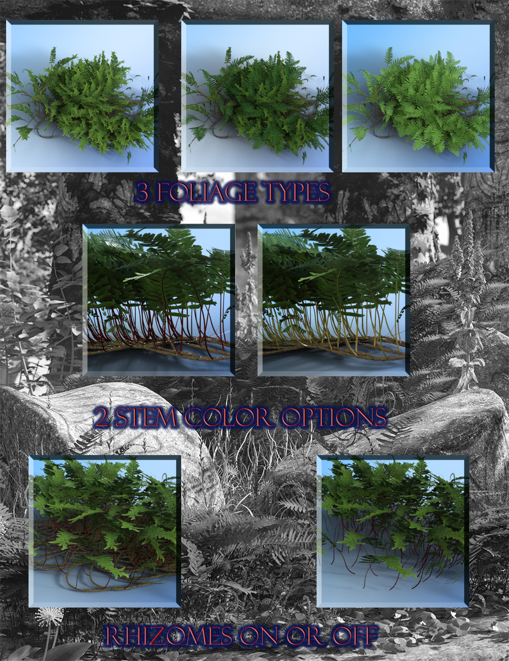 Creeping Ferns - Polypody by: MartinJFrost, 3D Models by Daz 3D