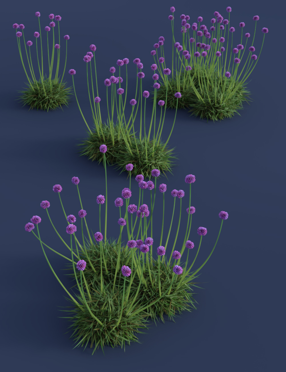 Tiny Plants - Flowering Sea Thrift Tiny Plants - Flowering Sea Thrift by: MartinJFrost, 3D Models by Daz 3D