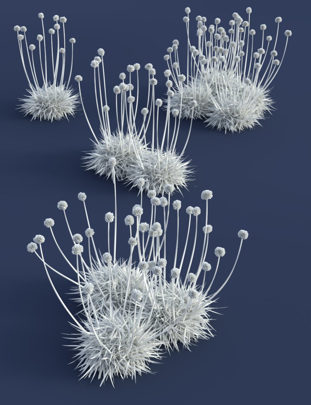 Tiny Plants - Flowering Sea Thrift by: MartinJFrost, 3D Models by Daz 3D
