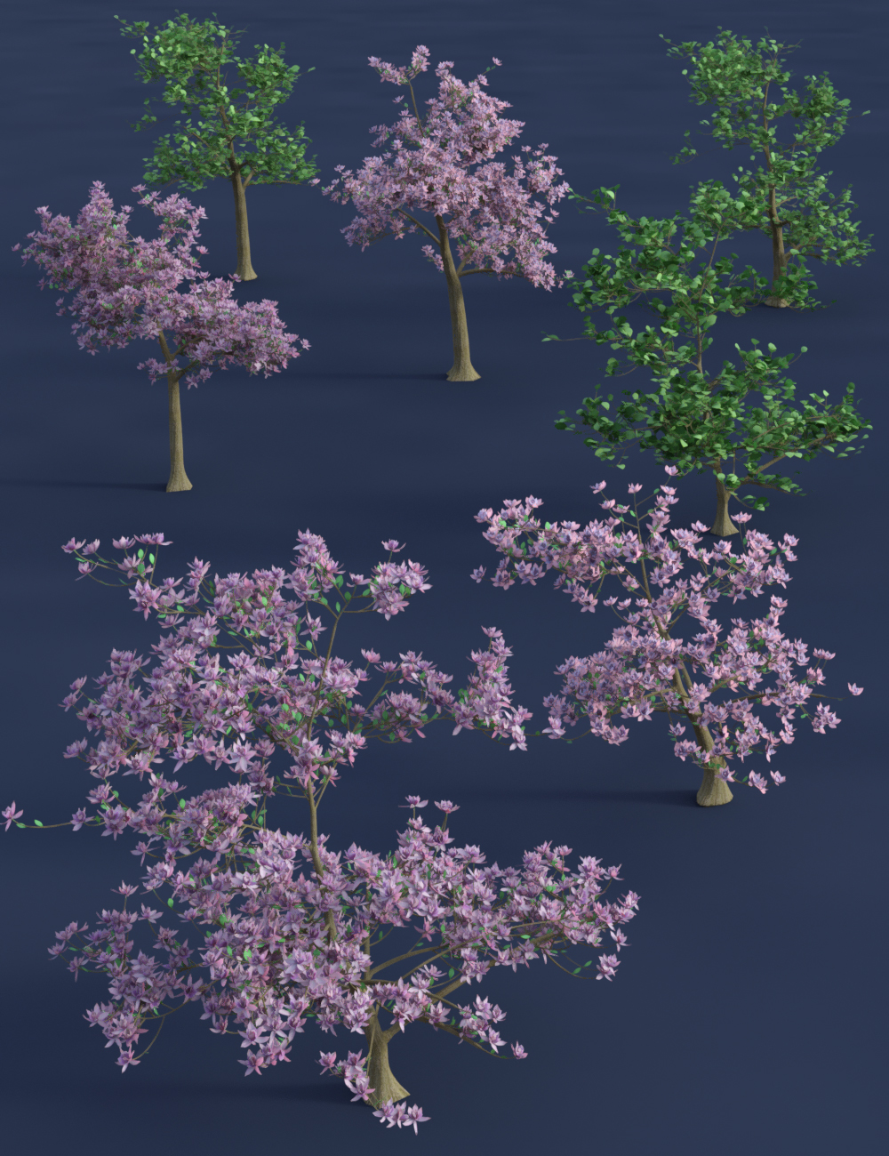 Magnificent Magnolia Trees by: MartinJFrost, 3D Models by Daz 3D
