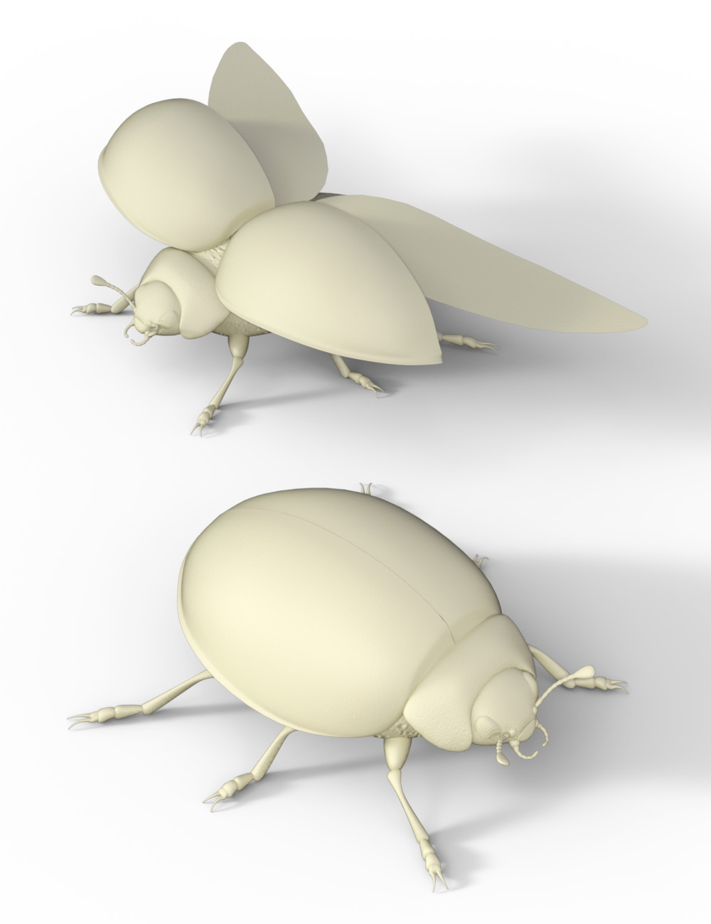 Ladybug by: Sylvan, 3D Models by Daz 3D