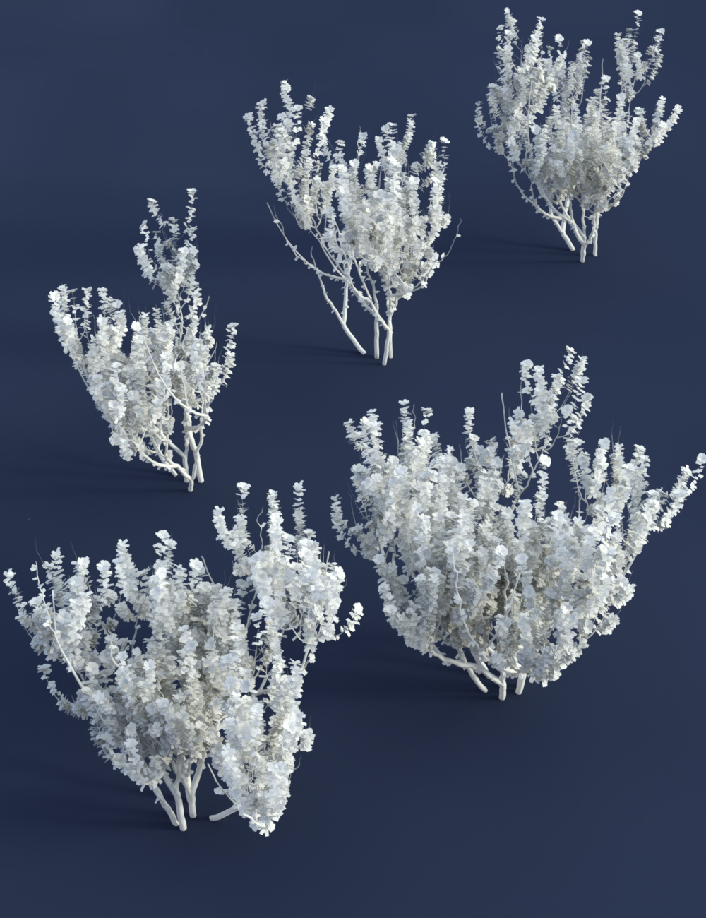 Shrubs for Foliage and Hedging Vol 1 by: MartinJFrost, 3D Models by Daz 3D