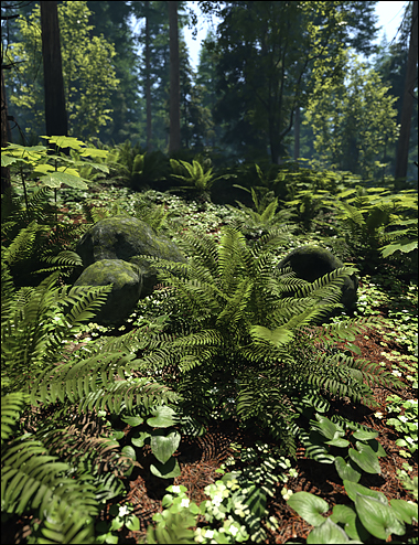 Pacific Northwest Botanica - Understorey by: HowieFarkes, 3D Models by Daz 3D