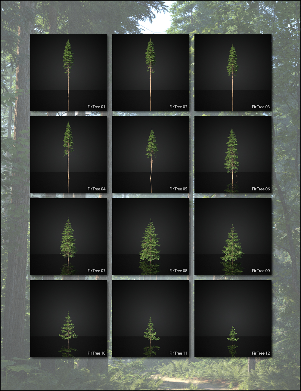 Pacific Northwest Botanica - Trees and Shrubs by: HowieFarkes, 3D Models by Daz 3D