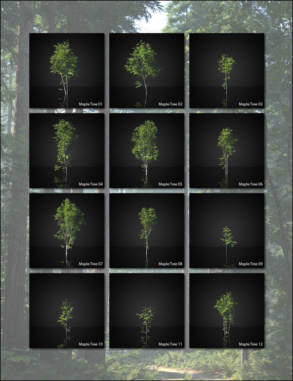 Pacific Northwest Botanica - Trees and Shrubs by: HowieFarkes, 3D Models by Daz 3D