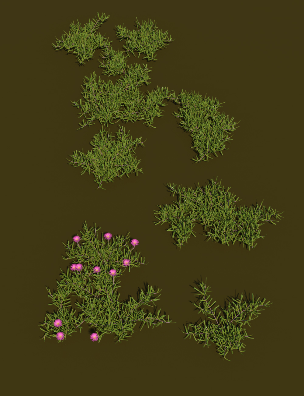 Magnificent Mesembryanthemum Plants Magnificent Mesembryanthemum Plants by: MartinJFrost, 3D Models by Daz 3D