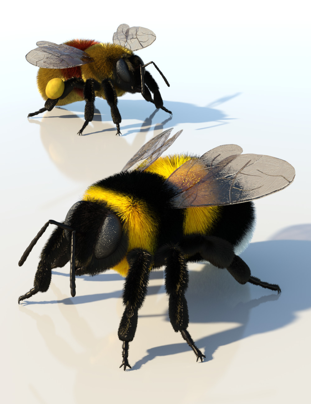 Bumblebee by: Sylvan, 3D Models by Daz 3D