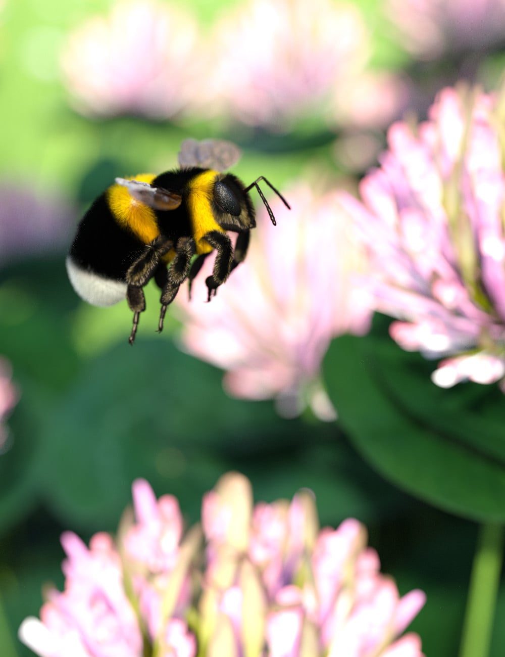 Little Friends Insect Bundle | Daz 3D