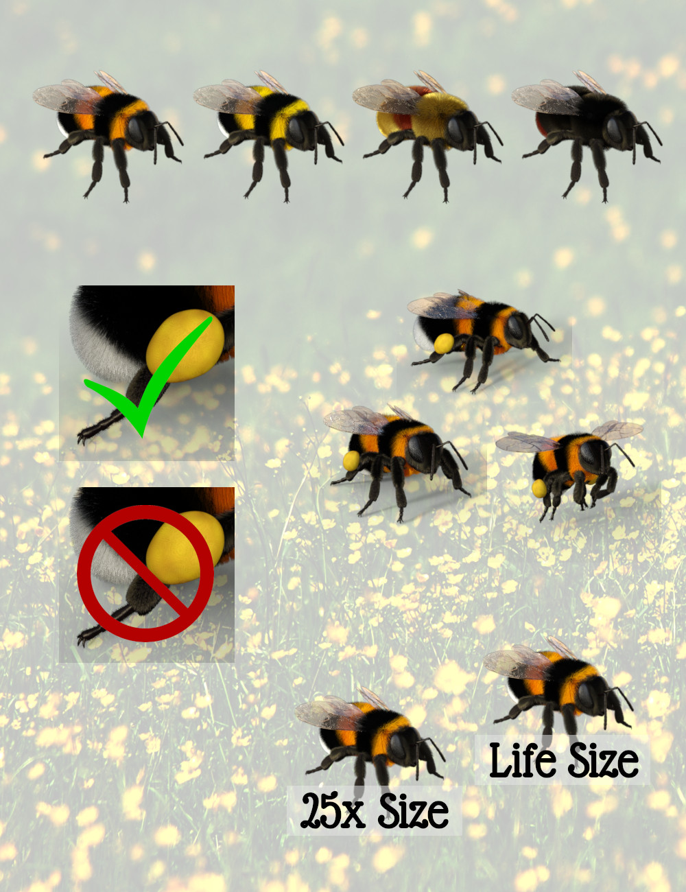 Little Friends Insect Bundle | Daz 3D