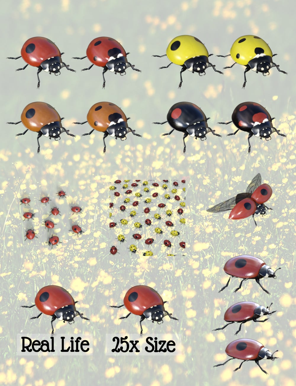 Little Friends Insect Bundle | Daz 3D