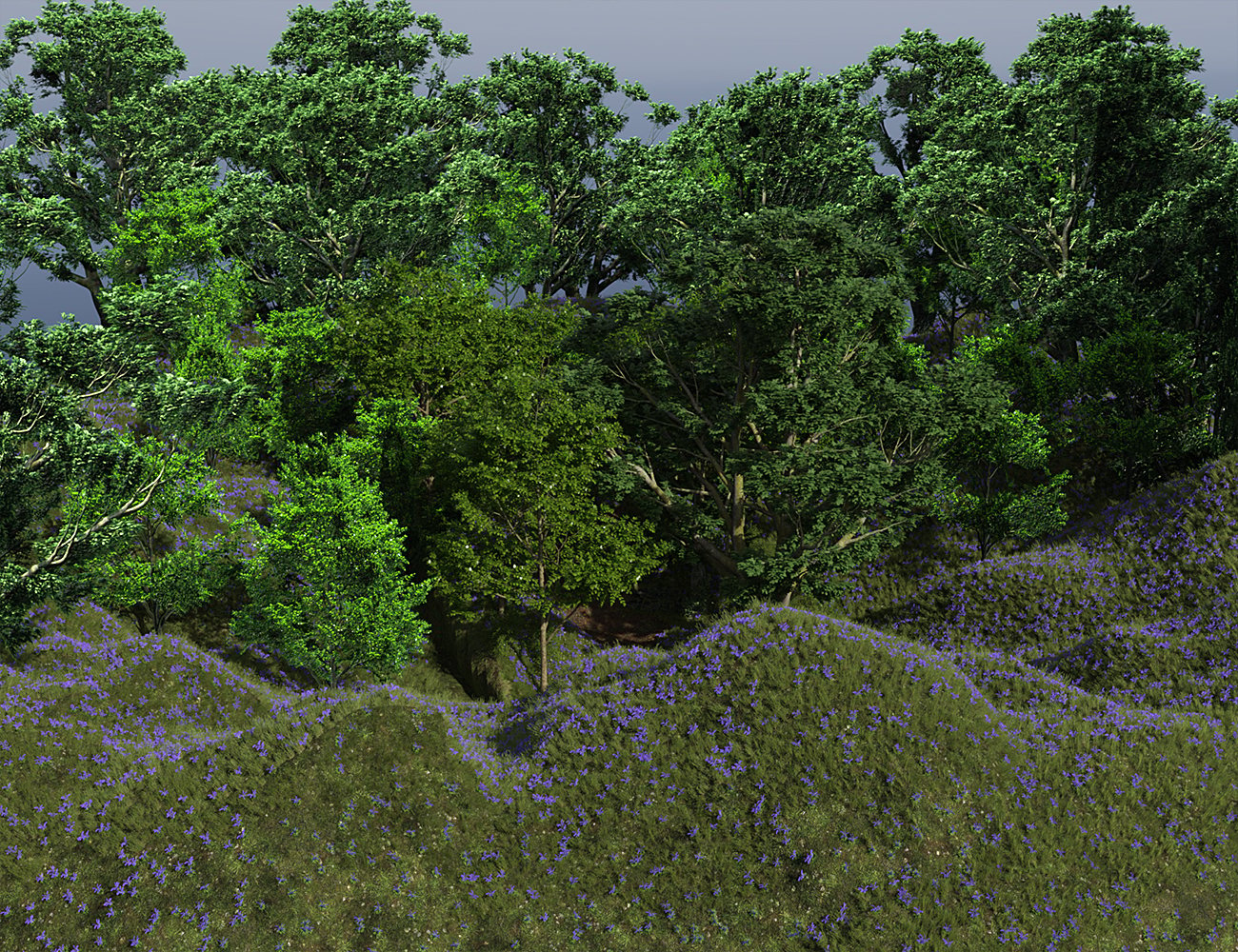 Bluebell Wood by: Predatron, 3D Models by Daz 3D