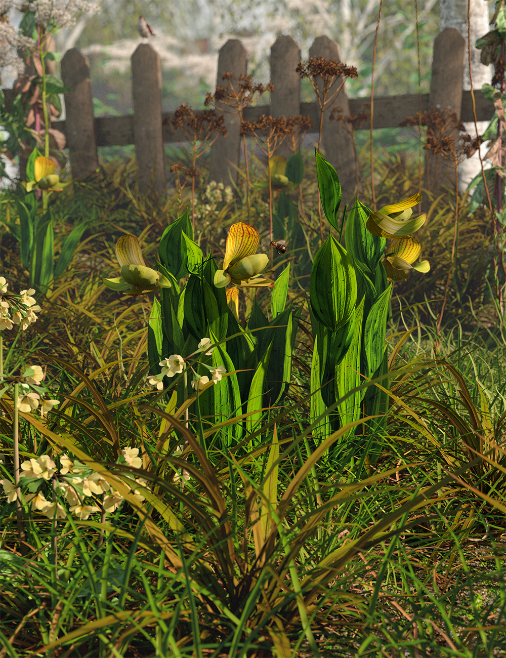 Slipper Orchids - Low Resolution Flowers by: MartinJFrost, 3D Models by Daz 3D