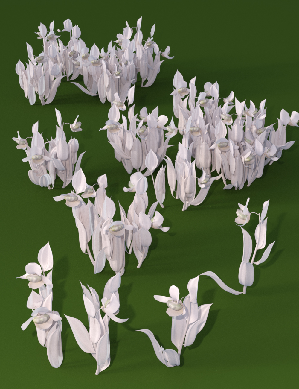 Slipper Orchids - Low Resolution Flowers Slipper Orchids - Low Resolution Flowers by: MartinJFrost, 3D Models by Daz 3D
