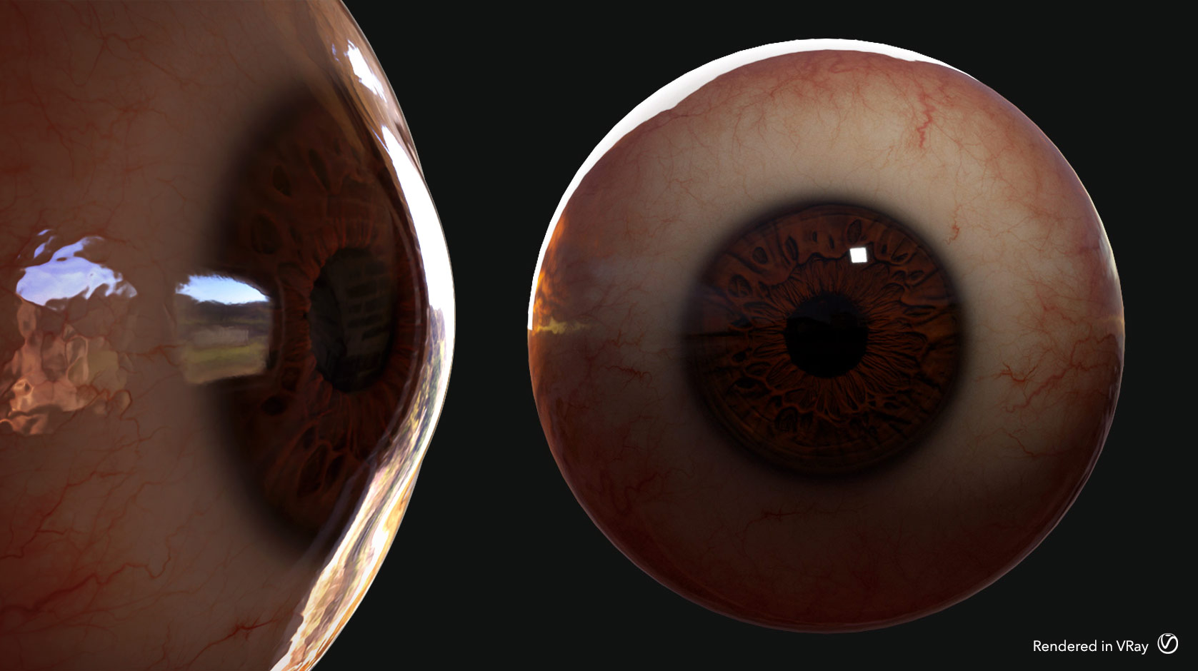 FlippedNormals Eye Kit FlippedNormals Eye Kit by: FlippedNormals, 3D Models by Daz 3D