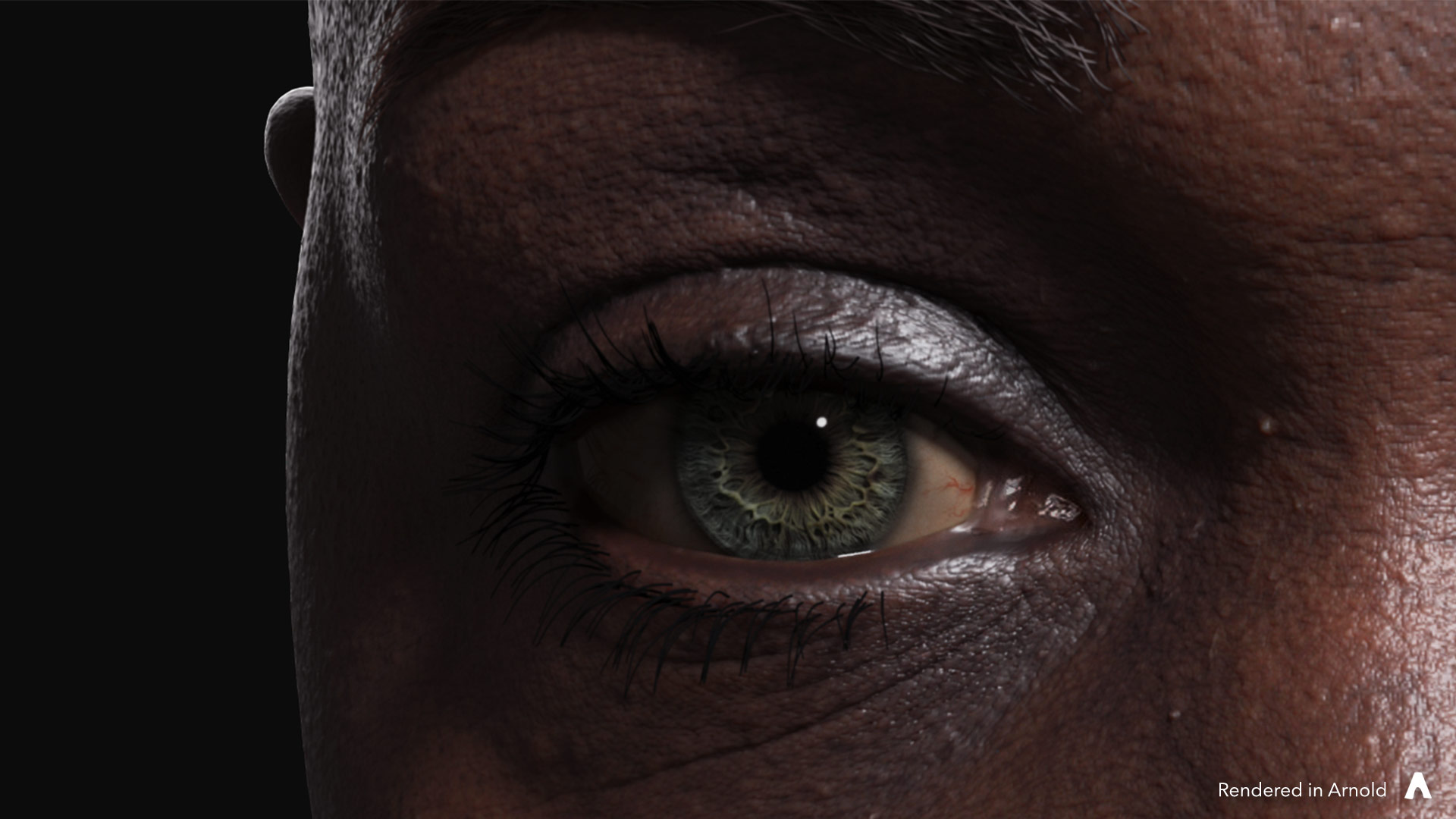 FlippedNormals Eye Kit FlippedNormals Eye Kit by: FlippedNormals, 3D Models by Daz 3D
