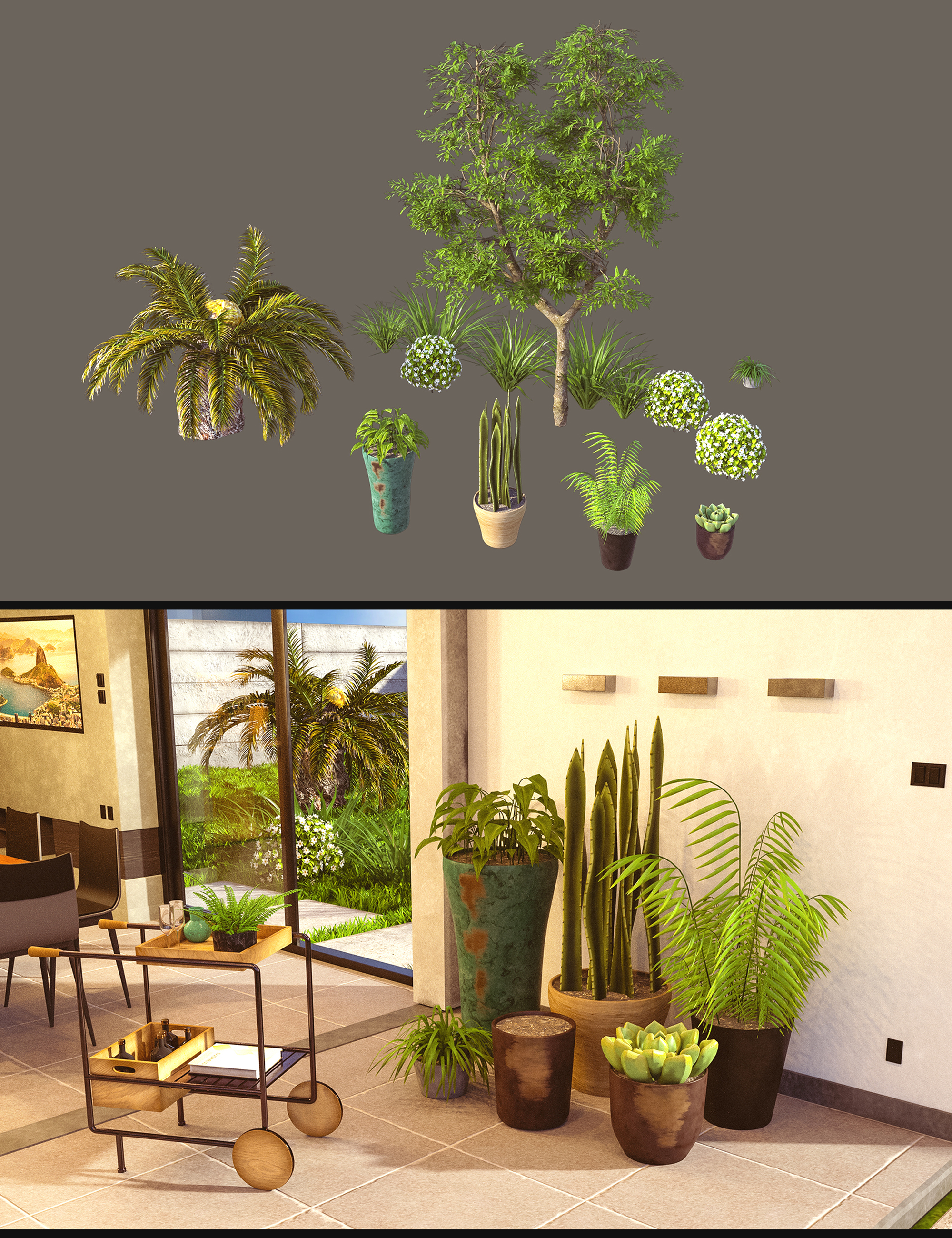 Cecilia House Plants by: Polish, 3D Models by Daz 3D