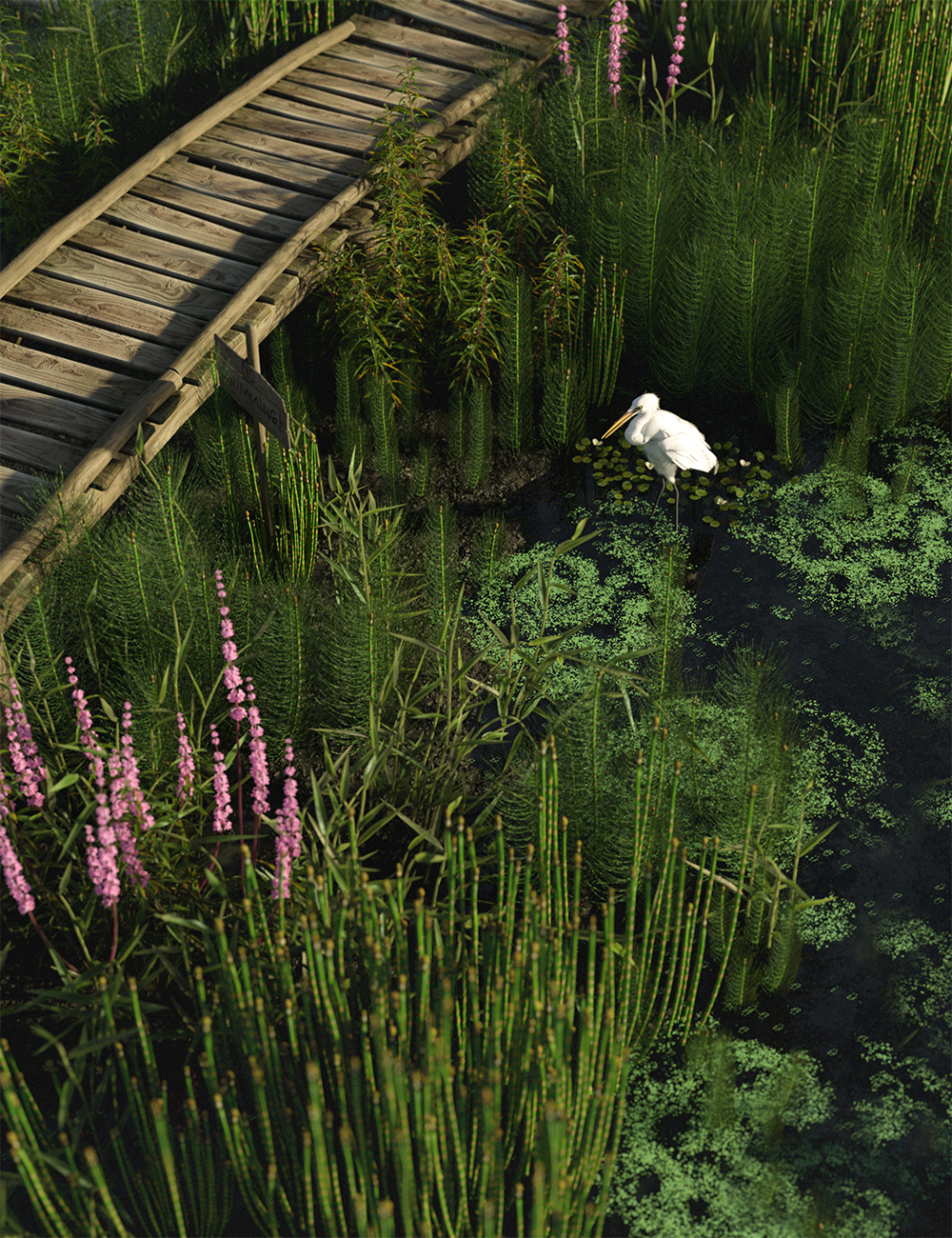 Wetlands Plants for Daz Studio - Horsetails Wetlands Plants for Daz Studio - Horsetails by: MartinJFrost, 3D Models by Daz 3D