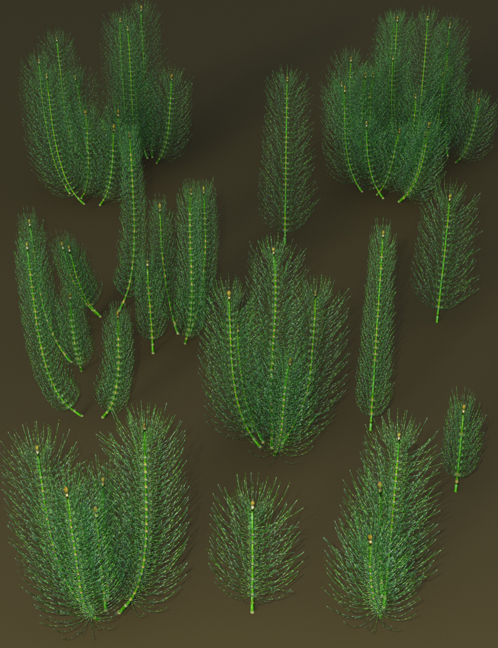 Wetlands Plants for Daz Studio - Horsetails Wetlands Plants for Daz Studio - Horsetails by: MartinJFrost, 3D Models by Daz 3D