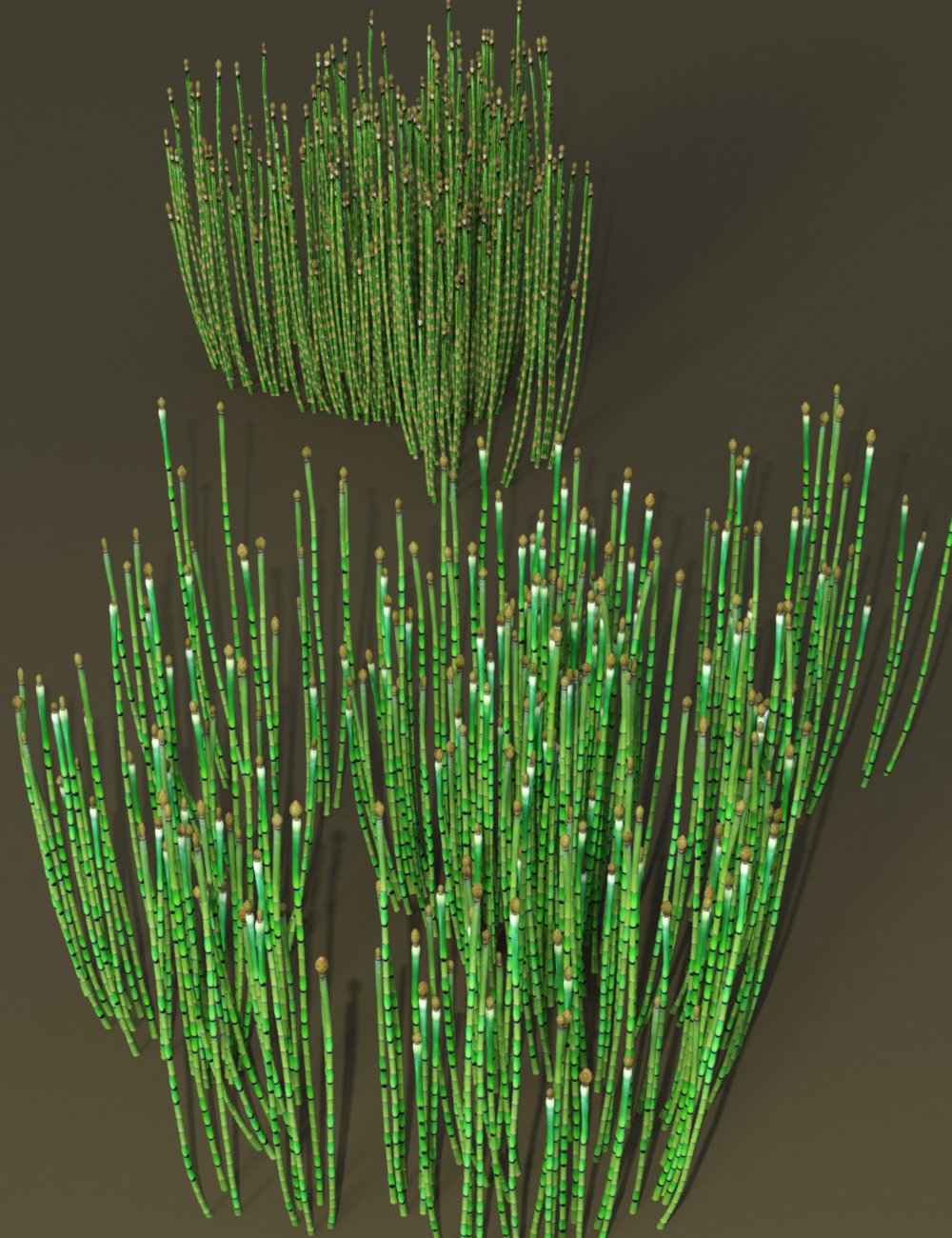Wetlands Plants for Daz Studio - Horsetails by: MartinJFrost, 3D Models by Daz 3D