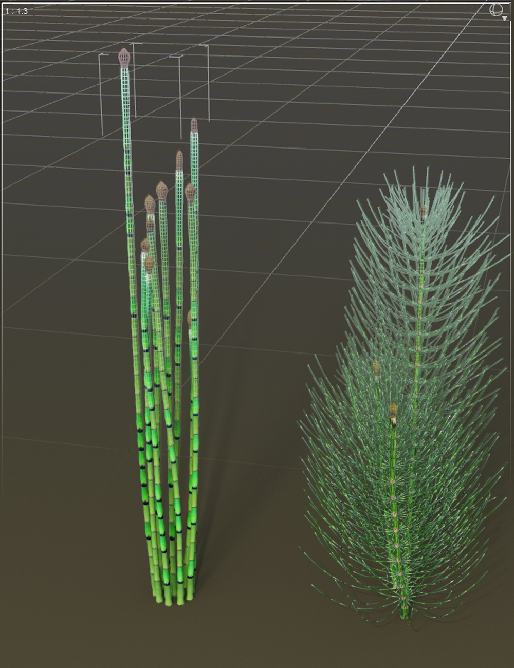 Wetlands Plants for Daz Studio - Horsetails by: MartinJFrost, 3D Models by Daz 3D