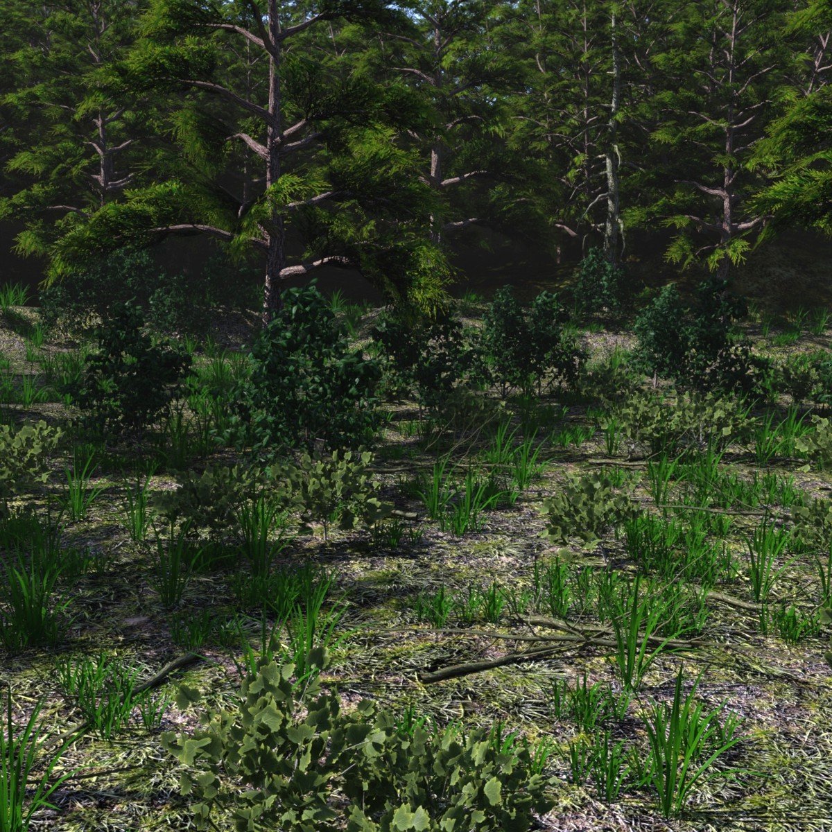 Mountain Forest by: JeffersonAF, 3D Models by Daz 3D