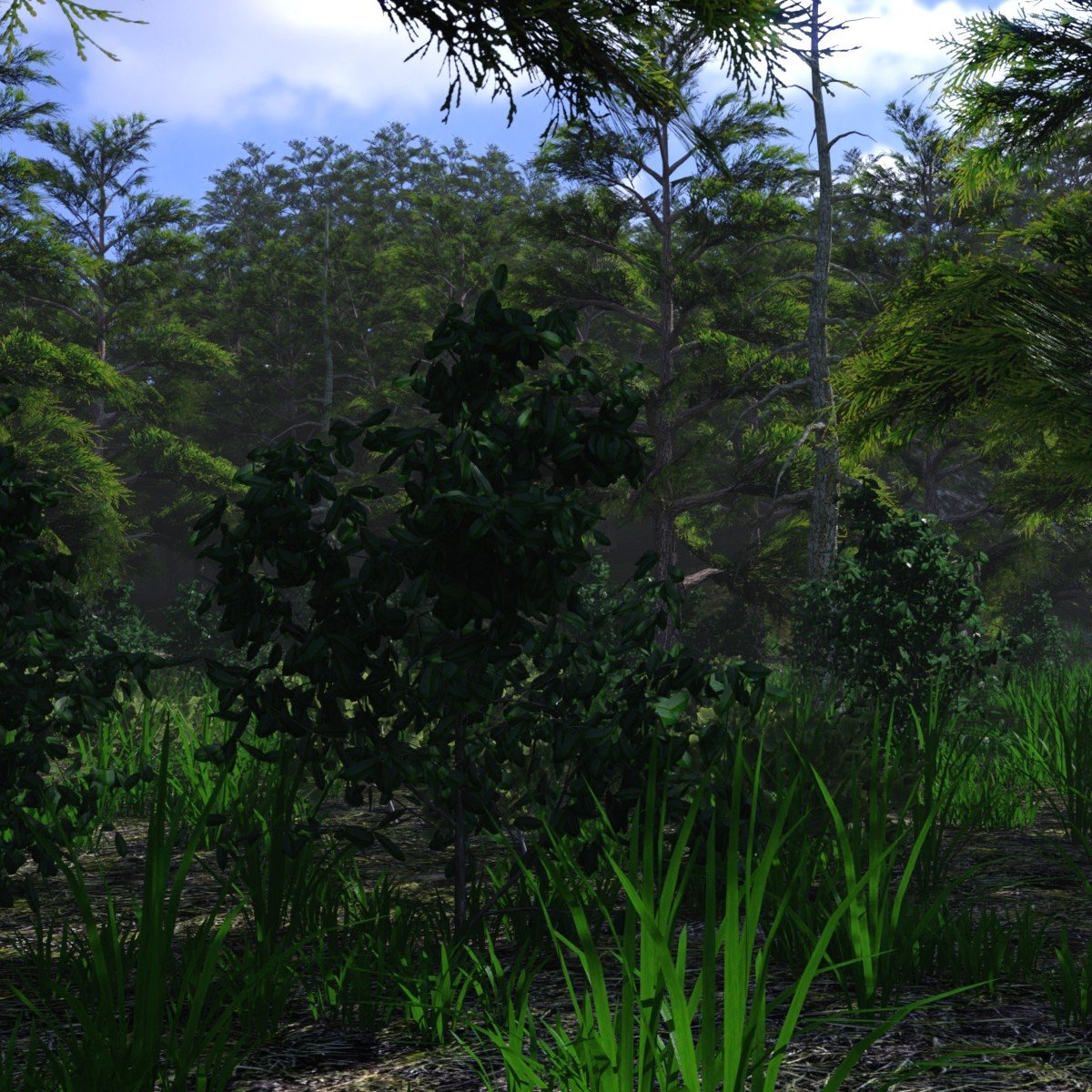 Mountain Forest Mountain Forest by: JeffersonAF, 3D Models by Daz 3D