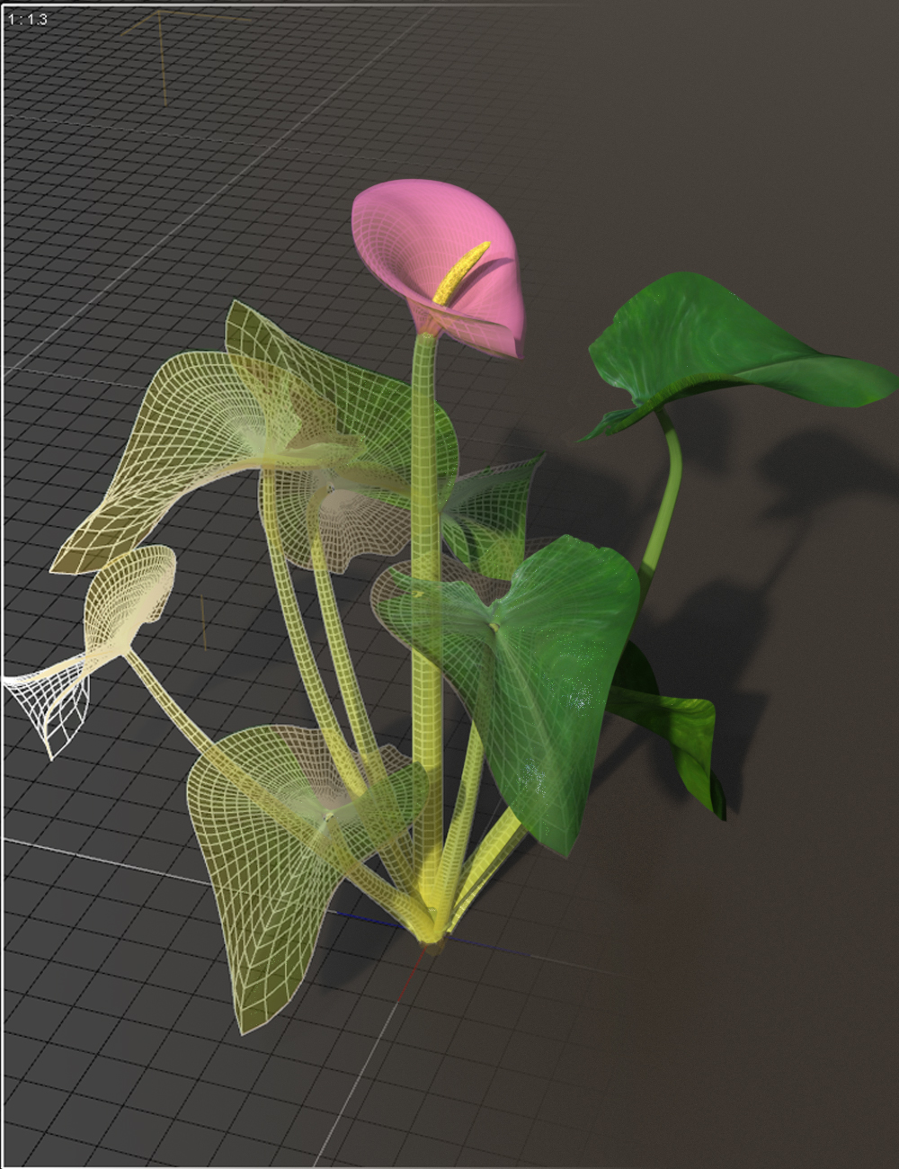 Calla Lilies by: MartinJFrost, 3D Models by Daz 3D