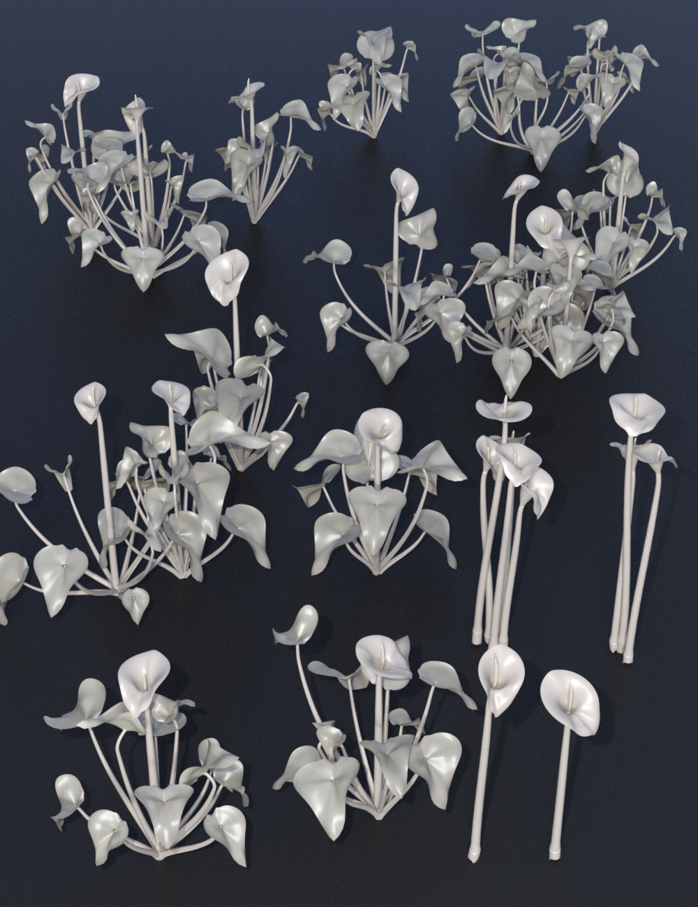 Calla Lilies by: MartinJFrost, 3D Models by Daz 3D
