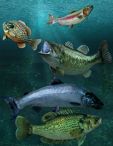 Freshwater Game Fish by: The Alchemist, 3D Models by Daz 3D