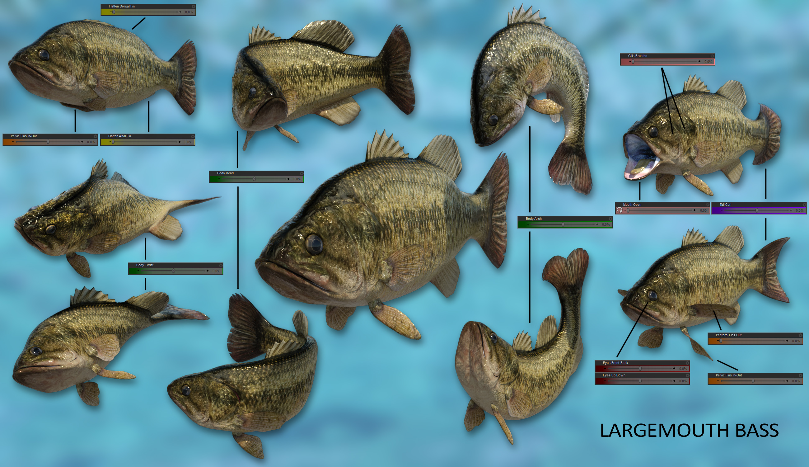Freshwater Game Fish Freshwater Game Fish by: The Alchemist, 3D Models by Daz 3D