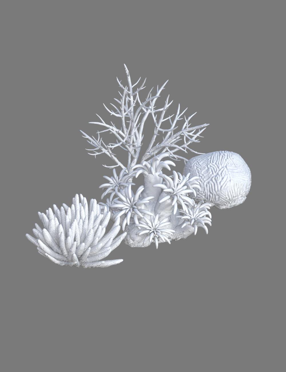 Under the Sea Props for Genesis 8.1 by: ThreeDigital, 3D Models by Daz 3D