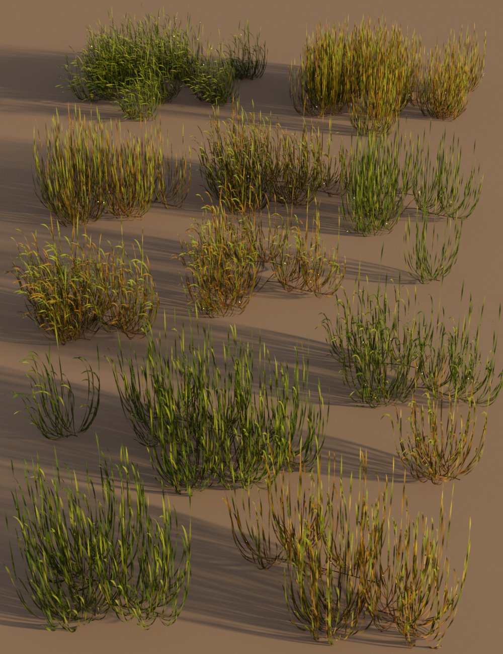 Just Beachy - Seagrass Underwater Meadows by: MartinJFrost, 3D Models by Daz 3D