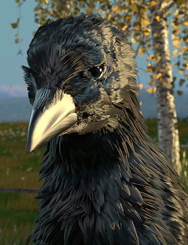 Crowulf for Daz Dog 8 Crowulf for Daz Dog 8 by: Oso3D, 3D Models by Daz 3D