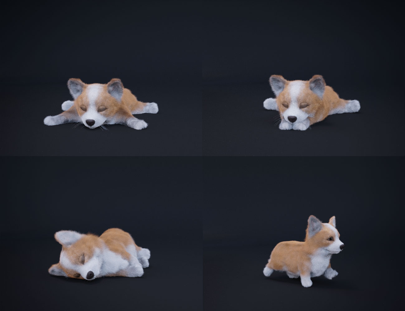 Pudgy the Corgi Pudgy the Corgi by: Hypertaf, 3D Models by Daz 3D