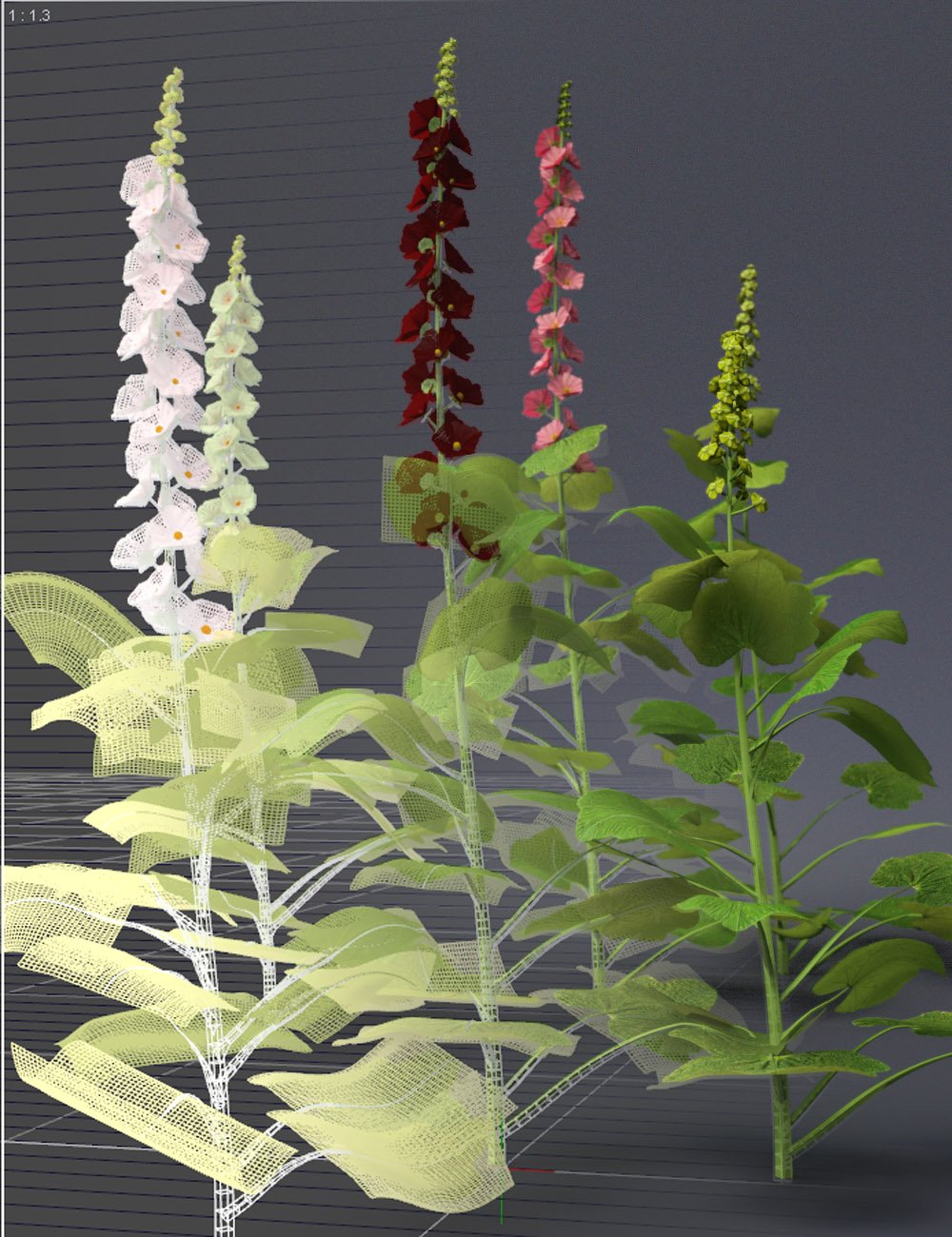 Cottage Garden Flowers - Hollyhocks by: MartinJFrost, 3D Models by Daz 3D