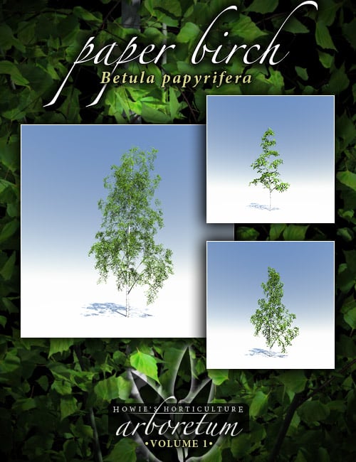 Arboretum Volume 1 Arboretum Volume 1 by: HowieFarkes, 3D Models by Daz 3D