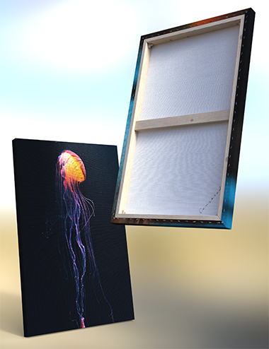 Canvas Art Animal Collection Canvas Art Animal Collection by: Censored, 3D Models by Daz 3D