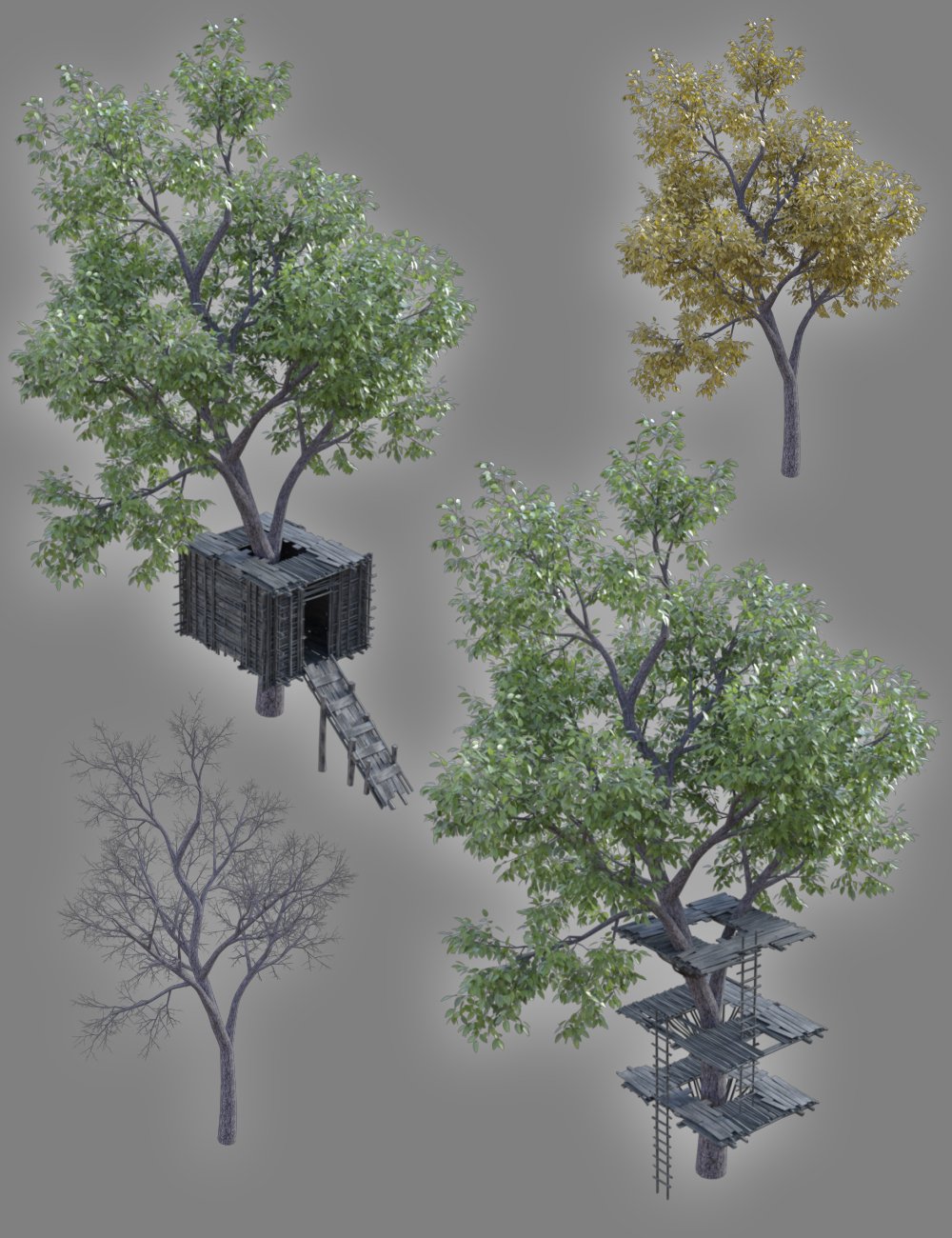 Treehouses by: Enterables, 3D Models by Daz 3D