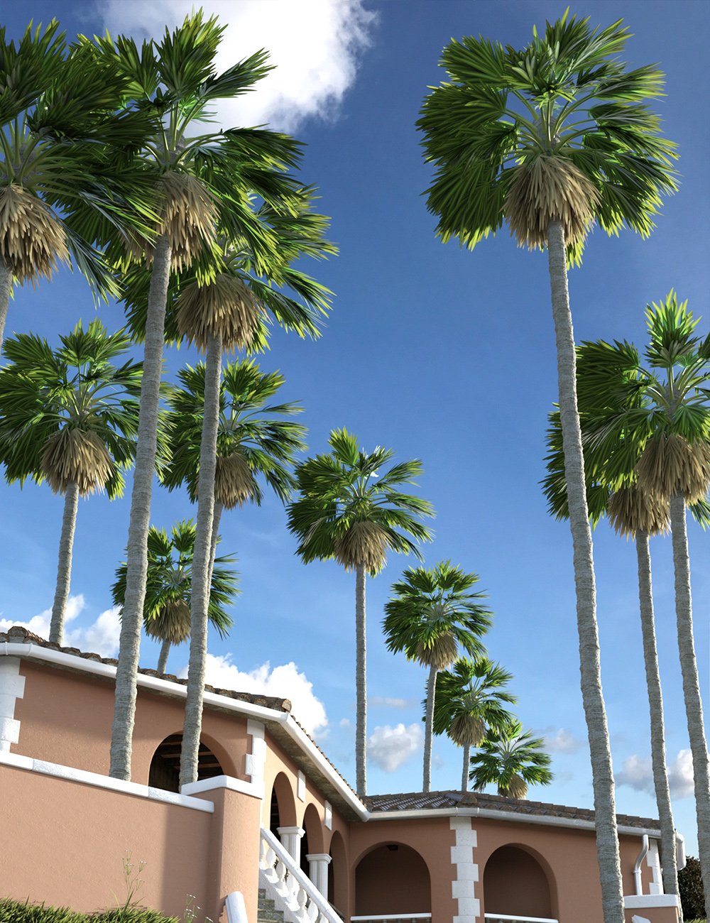 Predatron Washingtonia Fan Palm Trees by: Predatron, 3D Models by Daz 3D