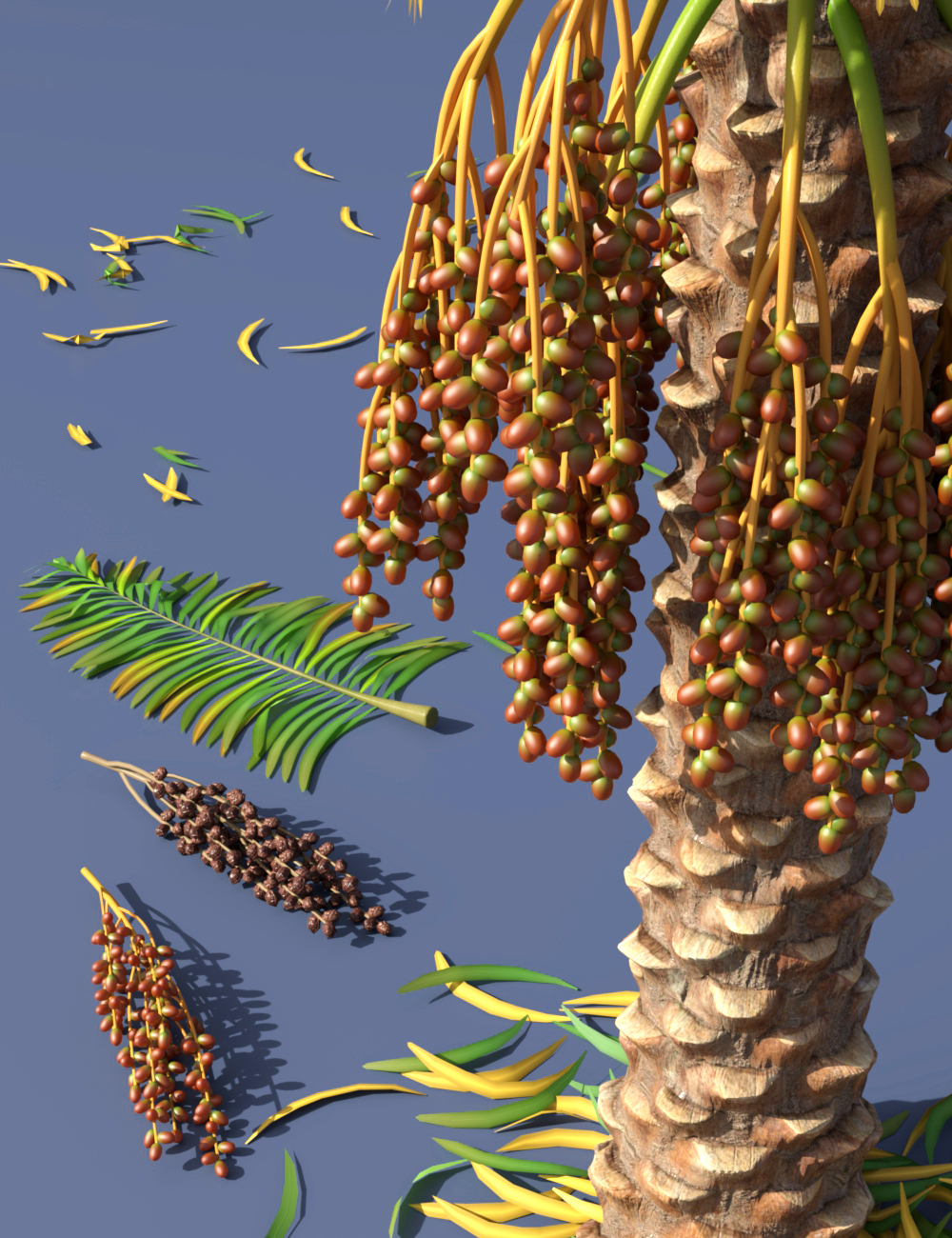 Predatron Date Palm Trees by: Predatron, 3D Models by Daz 3D