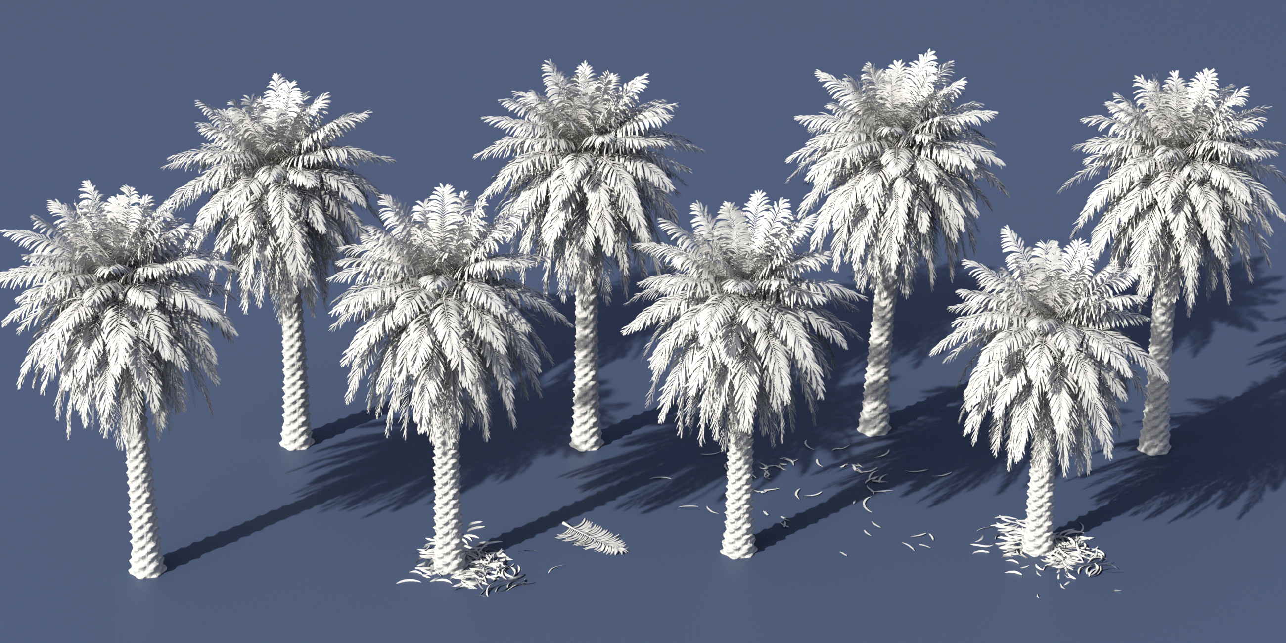 Predatron Date Palm Trees by: Predatron, 3D Models by Daz 3D