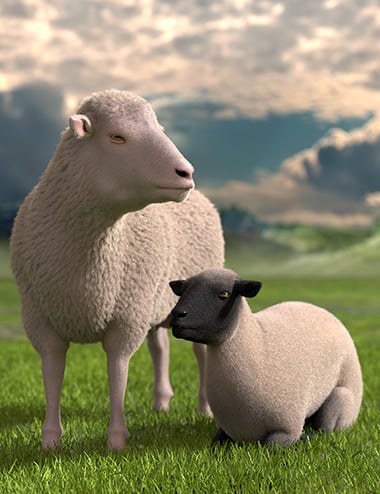 DAZ Sheep 2 DAZ Sheep 2 by: Oso3D, 3D Models by Daz 3D
