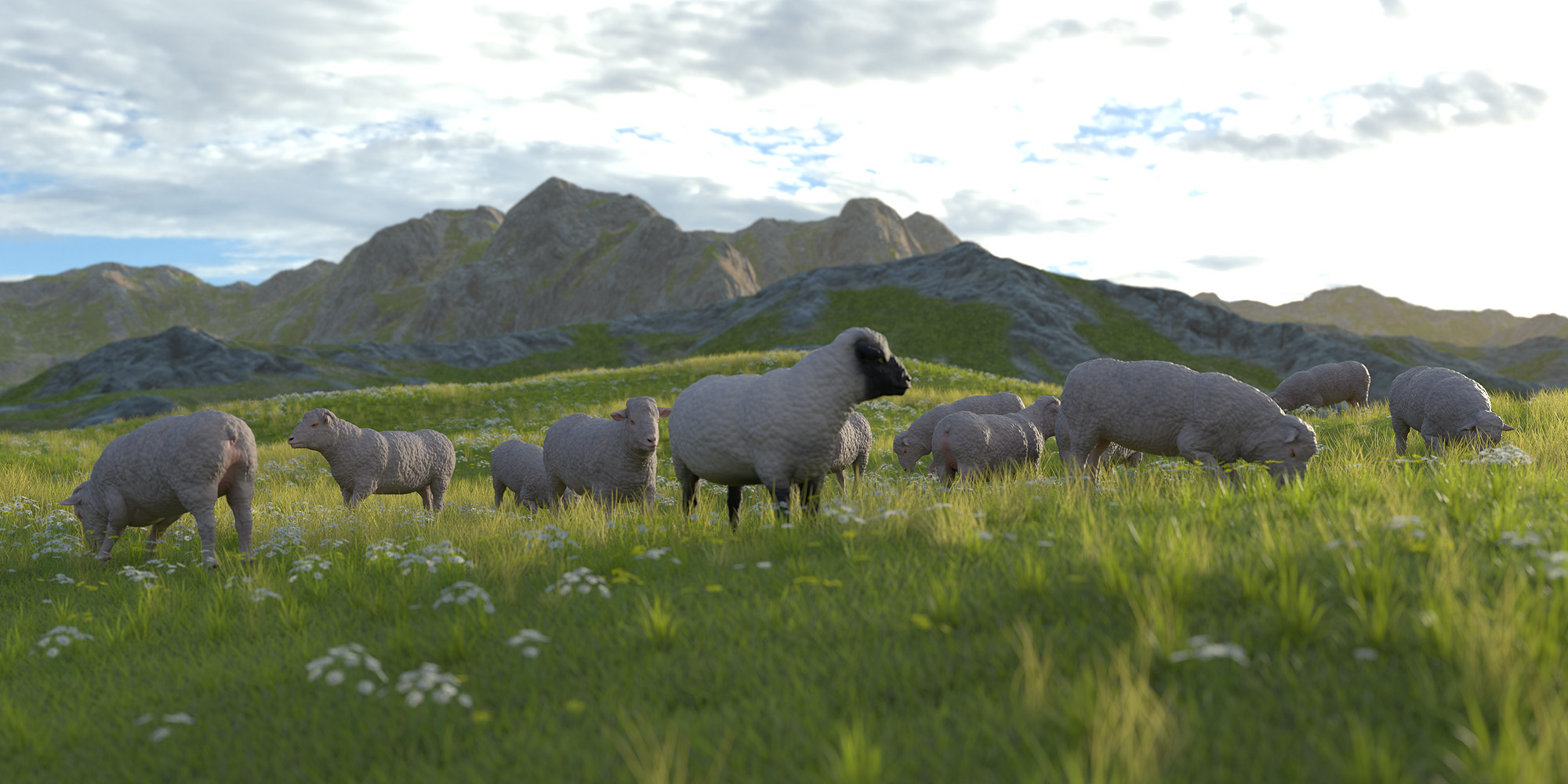 DAZ Sheep 2 by: Oso3D, 3D Models by Daz 3D