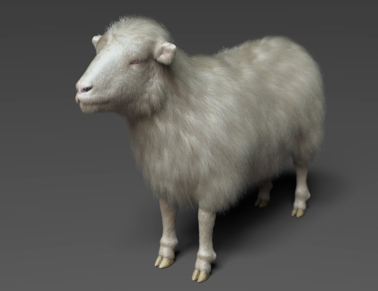 DAZ Sheep 2 by: Oso3D, 3D Models by Daz 3D