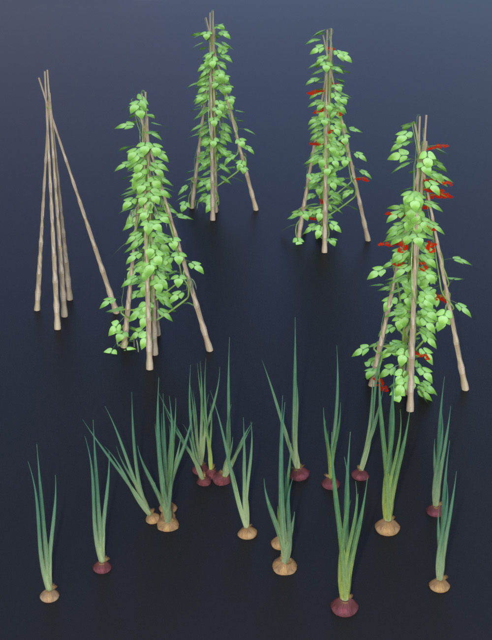 Vegetable Plot - Veg Plants and Raised Beds for Iray Vegetable Plot - Veg Plants and Raised Beds for Iray by: MartinJFrost, 3D Models by Daz 3D