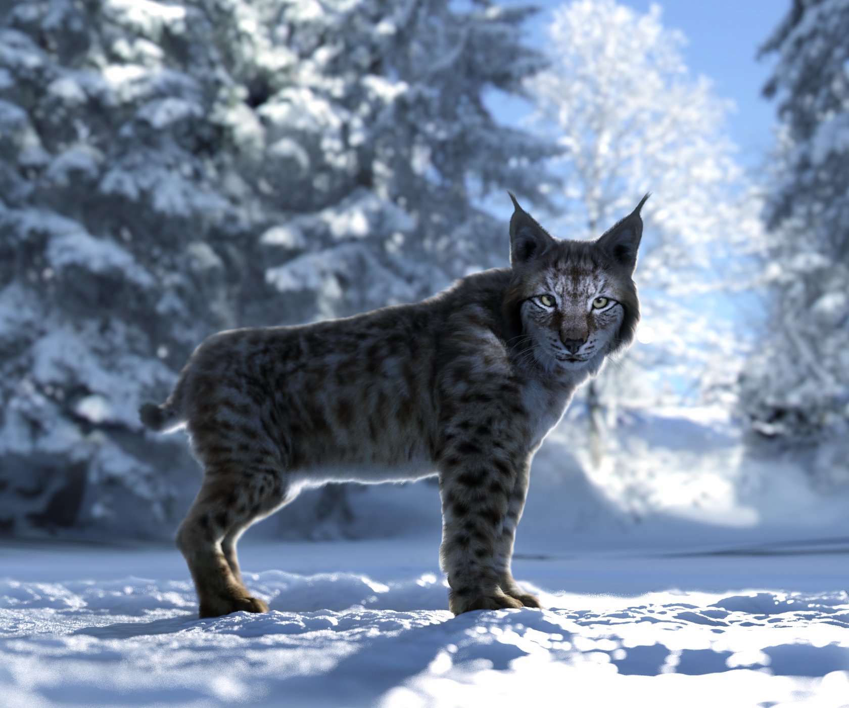 Felidae by AM - Lynx by: Alessandro_AM, 3D Models by Daz 3D