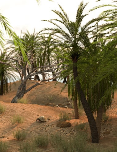 Desert Diorama for Iray by: MartinJFrost, 3D Models by Daz 3D